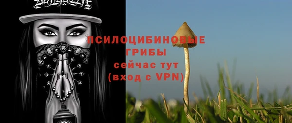 ПСИЛОЦИБИНОВЫЕ ГРИБЫ Алексеевка