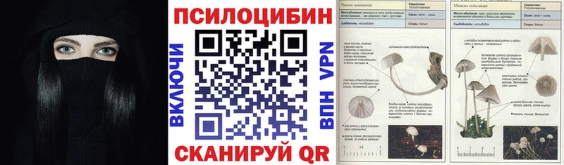 что такое наркотик  Йошкар-Ола  Псилоцибиновые грибы мухоморы 